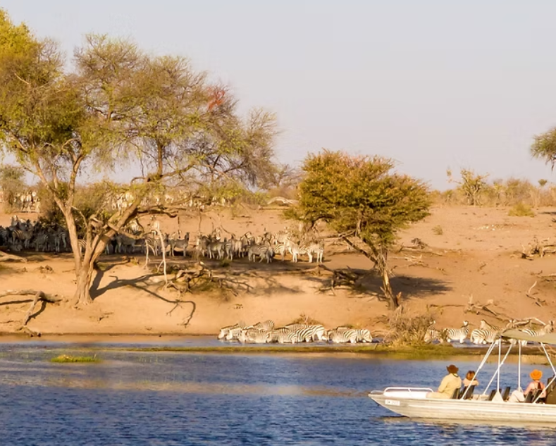 Boteti River, West of Makgadikgadi Pans, Botswana